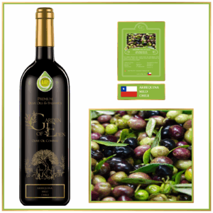 arbequina extra virgin olive oil (chile) – mild