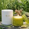 premium olive oil candle lemongrass & ginger