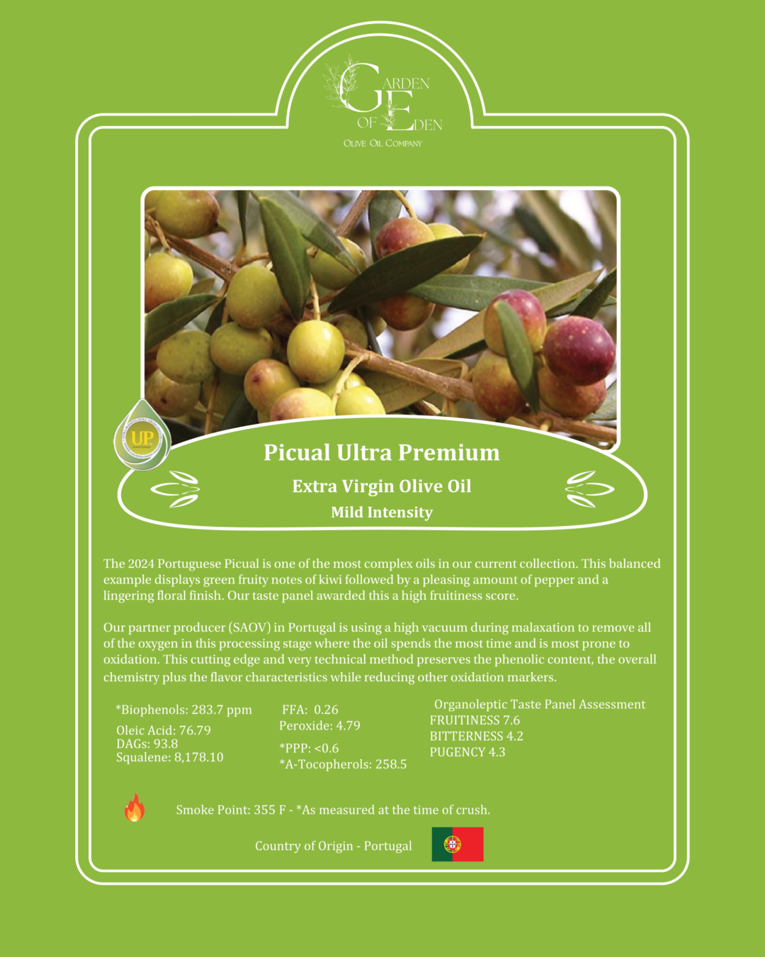 Picual Extra Virgin Olive Oil Portugal - Image 2