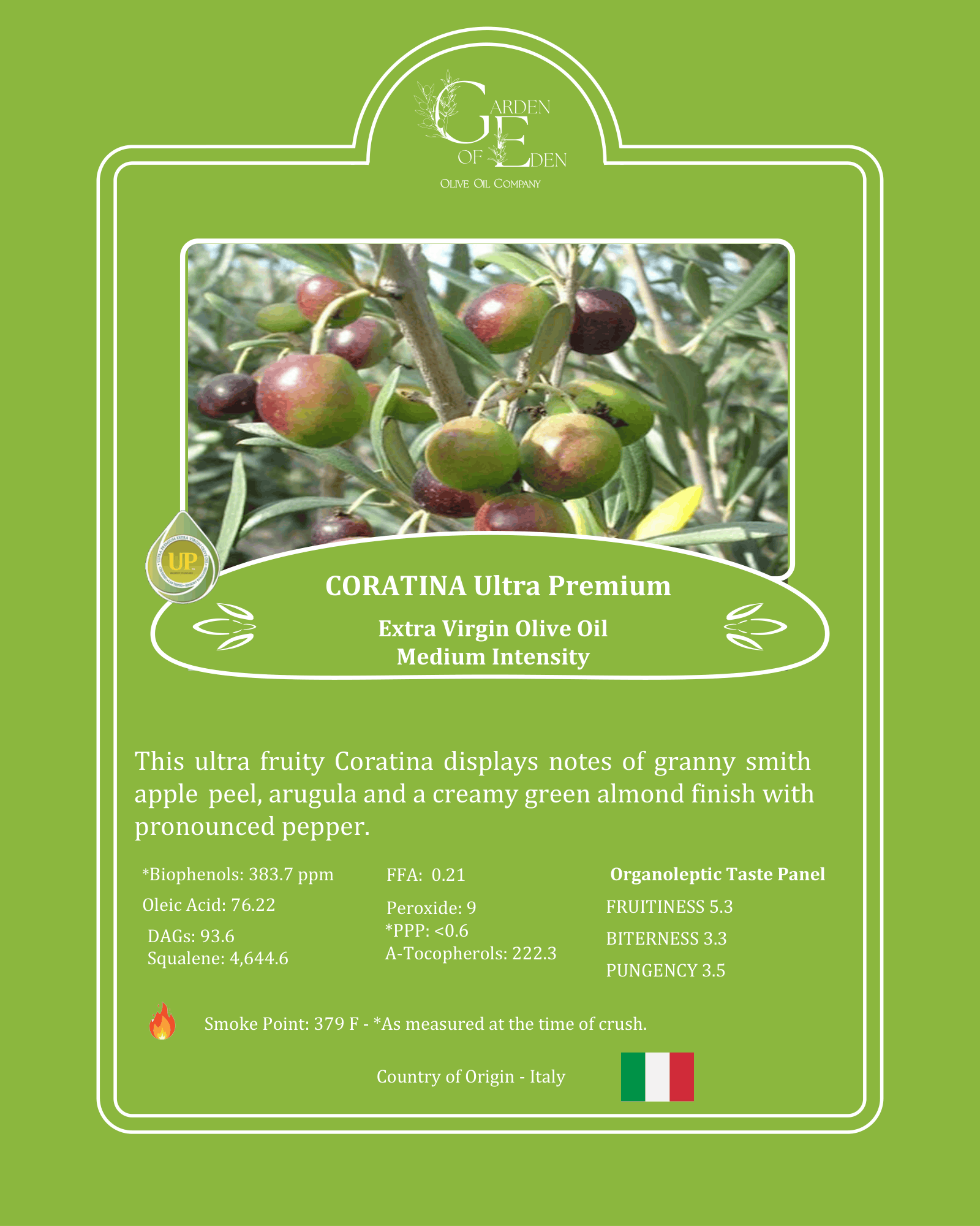 Coratina Extra Virgin Olive Oil (Medium Intensity) – Italy - Image 2